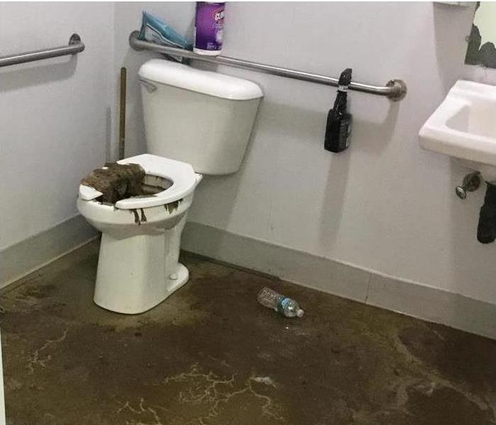 Dirty bathroom with sewage 